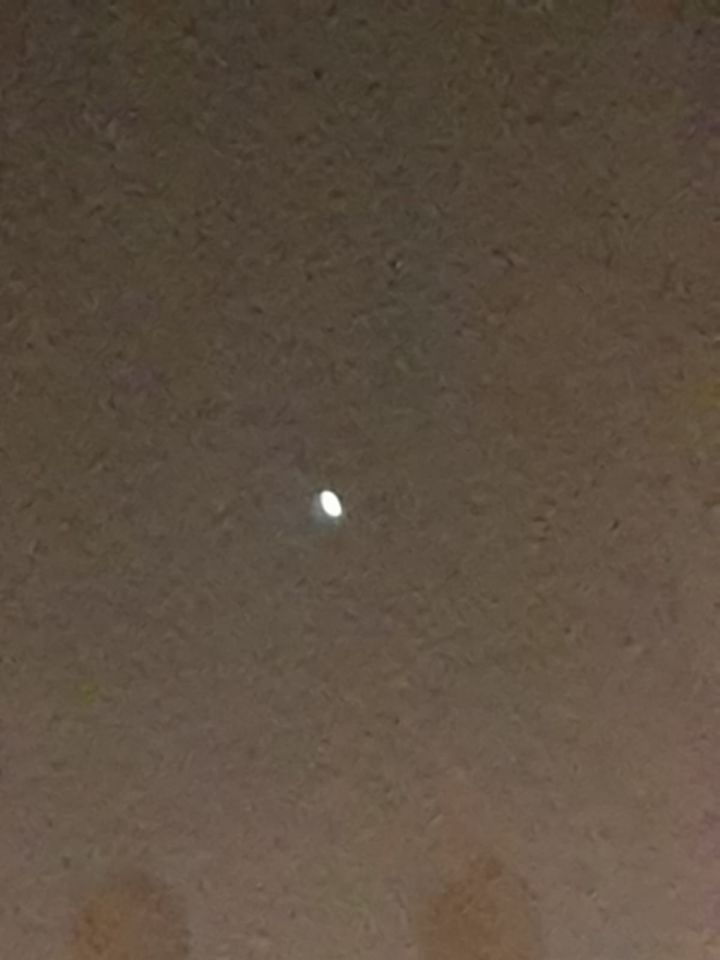 Grote felle bol foto