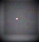 ORB DAYTIME, "3 FOTO'S, 3 TIJDSTIPPEN EN 3 PERSPECTIEVEN VIA I.R.-WILDCAMERA foto