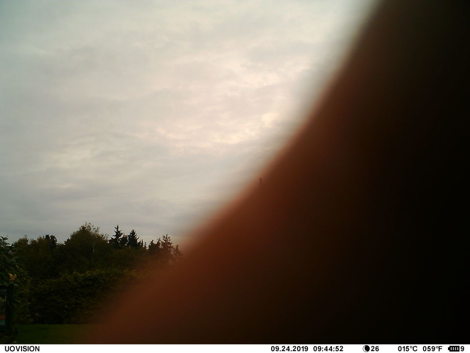ORB DAYTIME, "3 FOTO'S, 3 TIJDSTIPPEN EN 3 PERSPECTIEVEN VIA I.R.-WILDCAMERA foto
