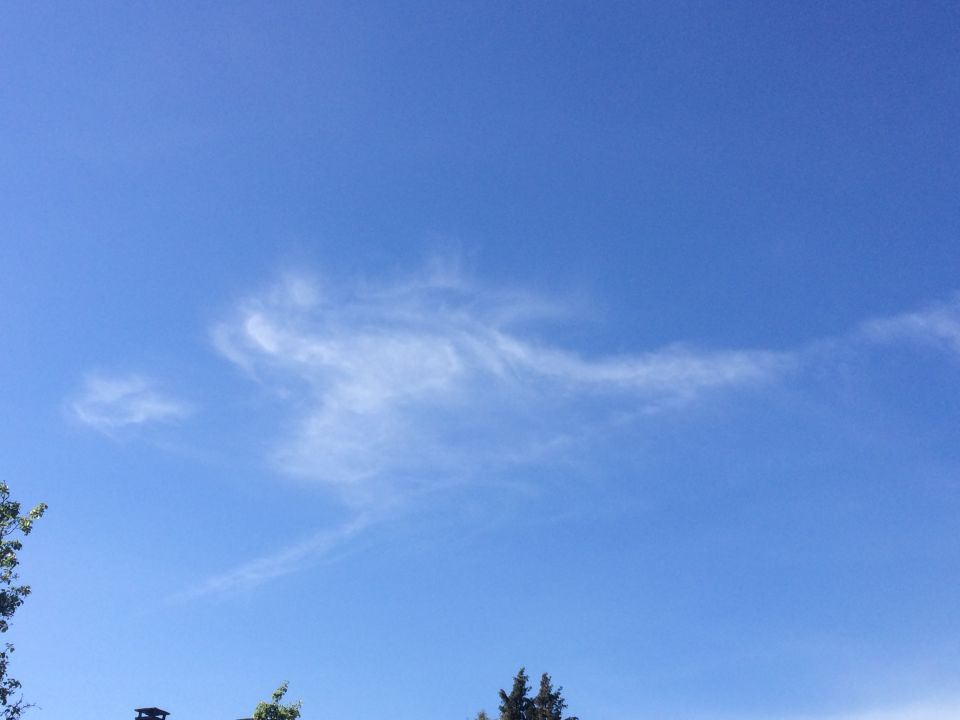 EyeCloud (hemelportaal???) foto