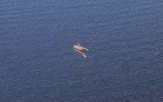 Eigenaardig object dat naar schatting 600 km per uur vloog foto