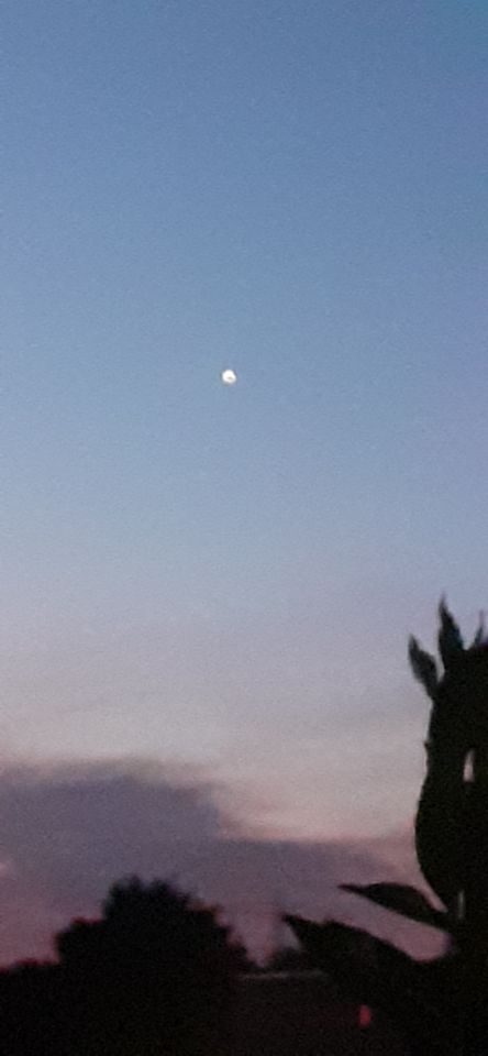 Witte bol foto