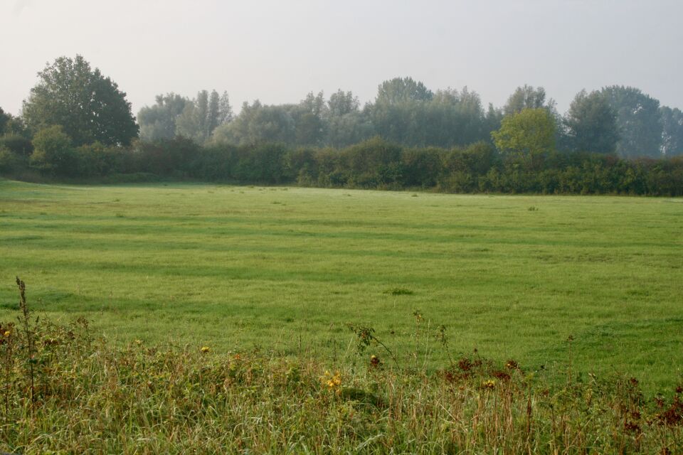 Goedenavond, mysterieuze donker groene kringen in een weiland langs een revier. foto