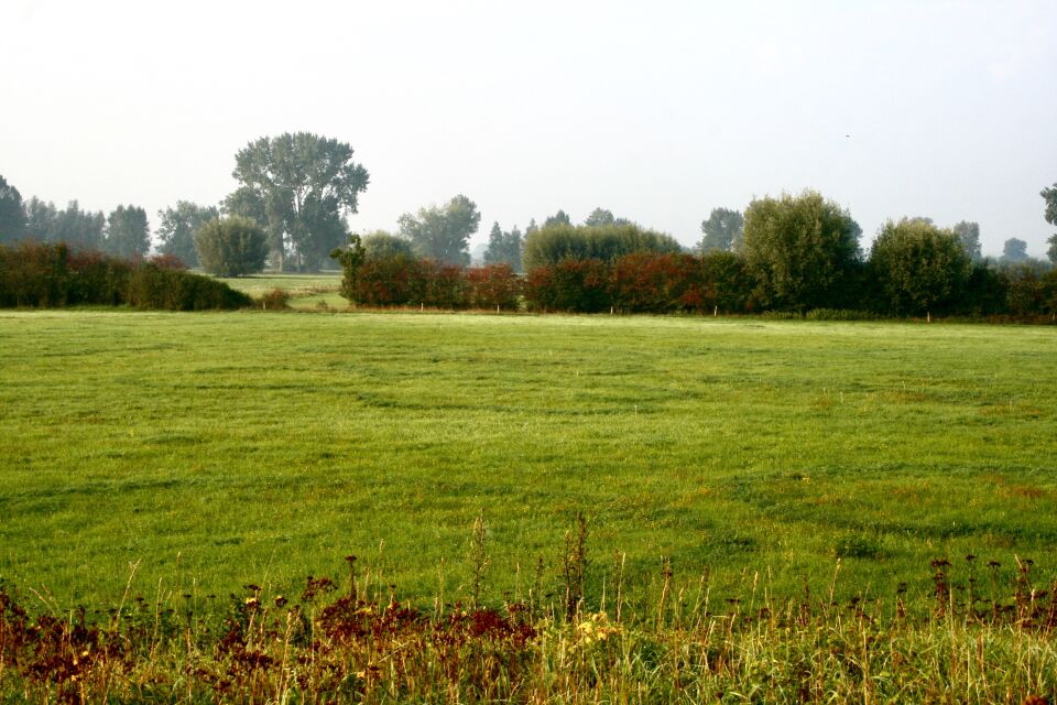 Goedenavond, mysterieuze donker groene kringen in een weiland langs een revier. foto