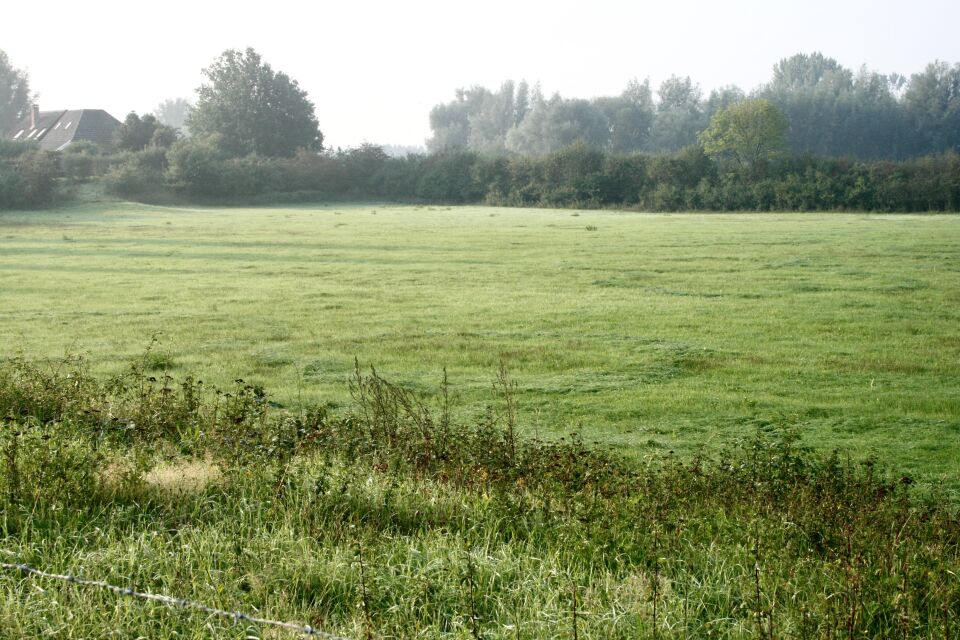 Goedenavond, mysterieuze donker groene kringen in een weiland langs een revier. foto