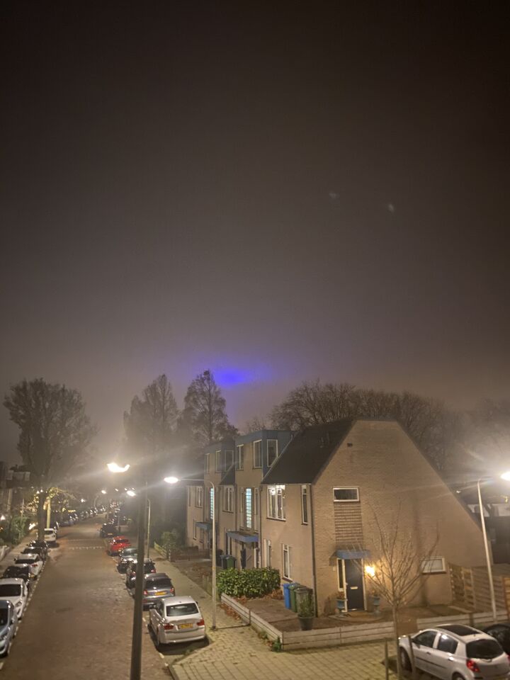 Blauw bewegend licht toen krijsende vogels foto