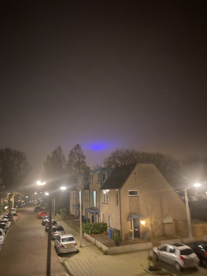 Blauw bewegend licht toen krijsende vogels foto