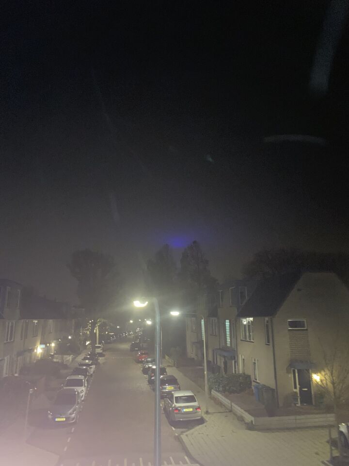 Blauw bewegend licht toen krijsende vogels foto
