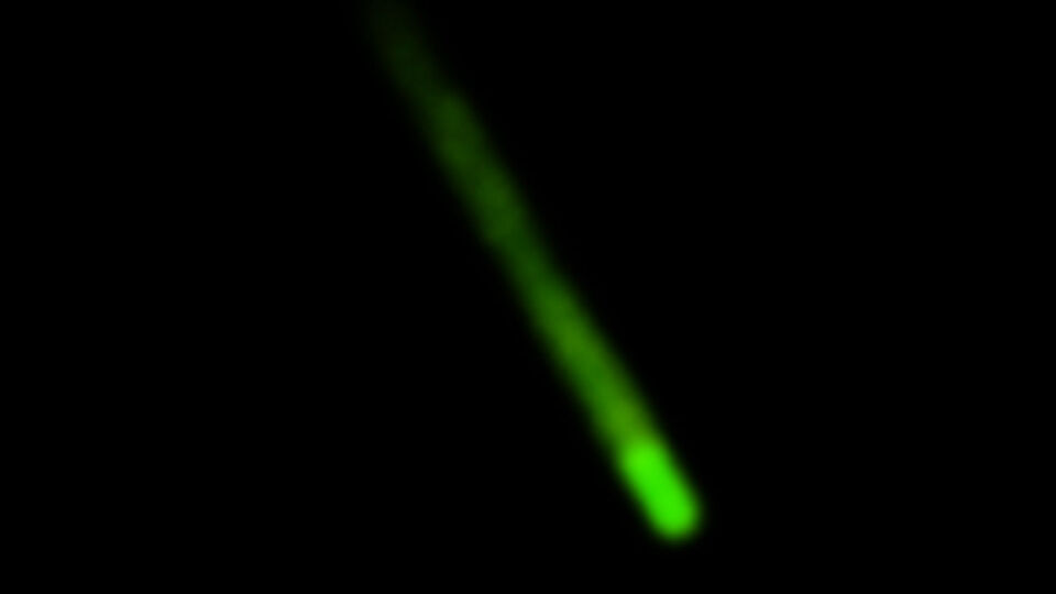 Tictac vormig object wat groen licht geeft en uit de lucht valt foto