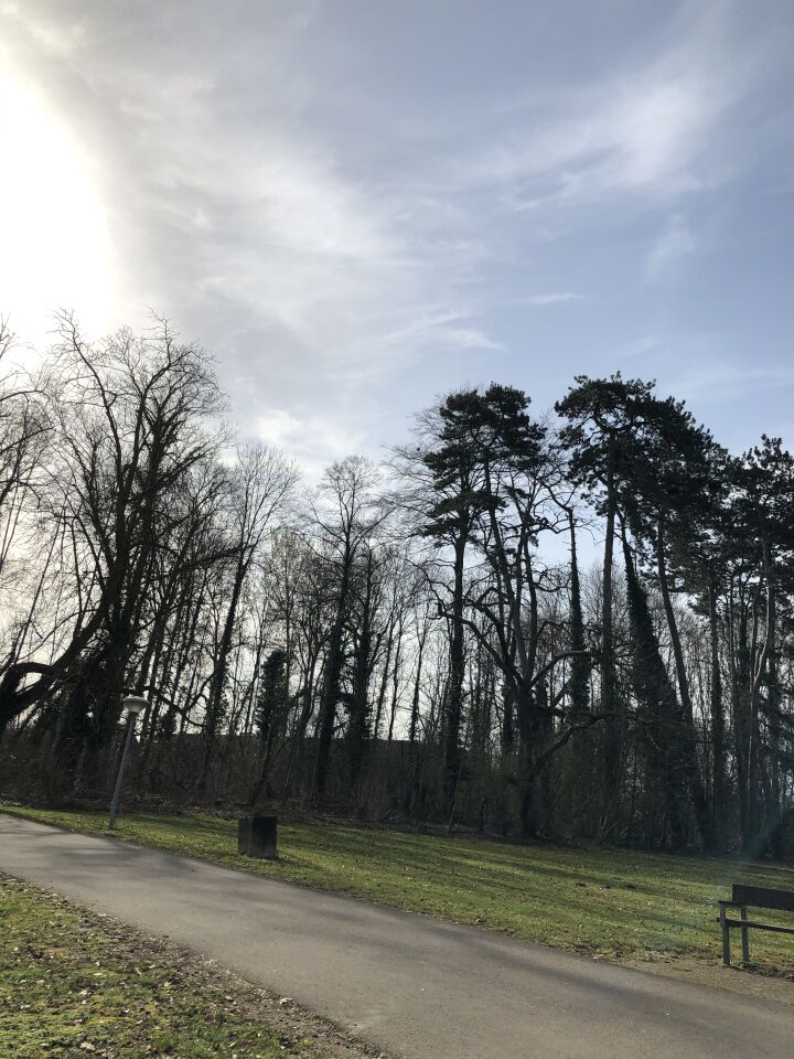 Ik was aan wandelen met mijn moeder en foto’s willen maken voor een vogel . foto