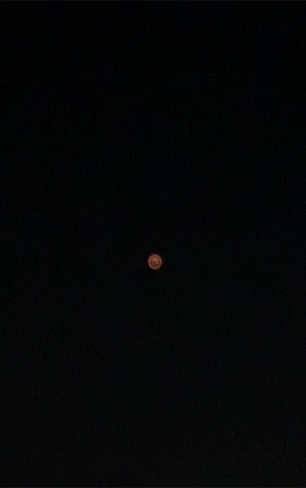 Oranje “schotel” foto