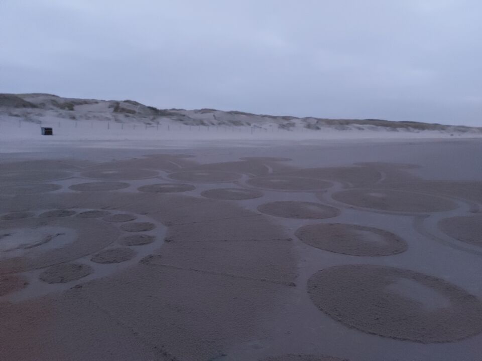 Graancirkel op het strand tussen groote keeten en callantsoog foto