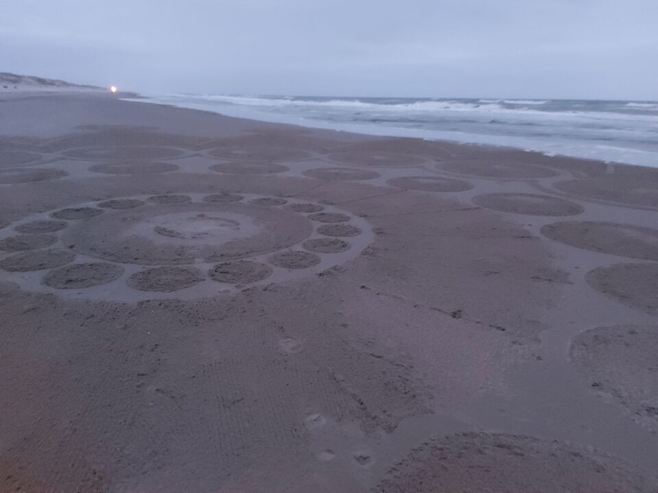Graancirkel op het strand tussen groote keeten en callantsoog foto