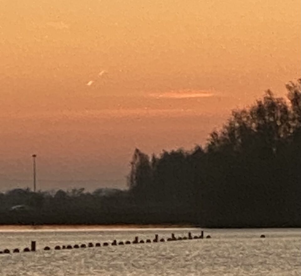 Licht bollen foto