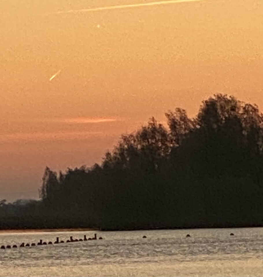 Licht bollen foto