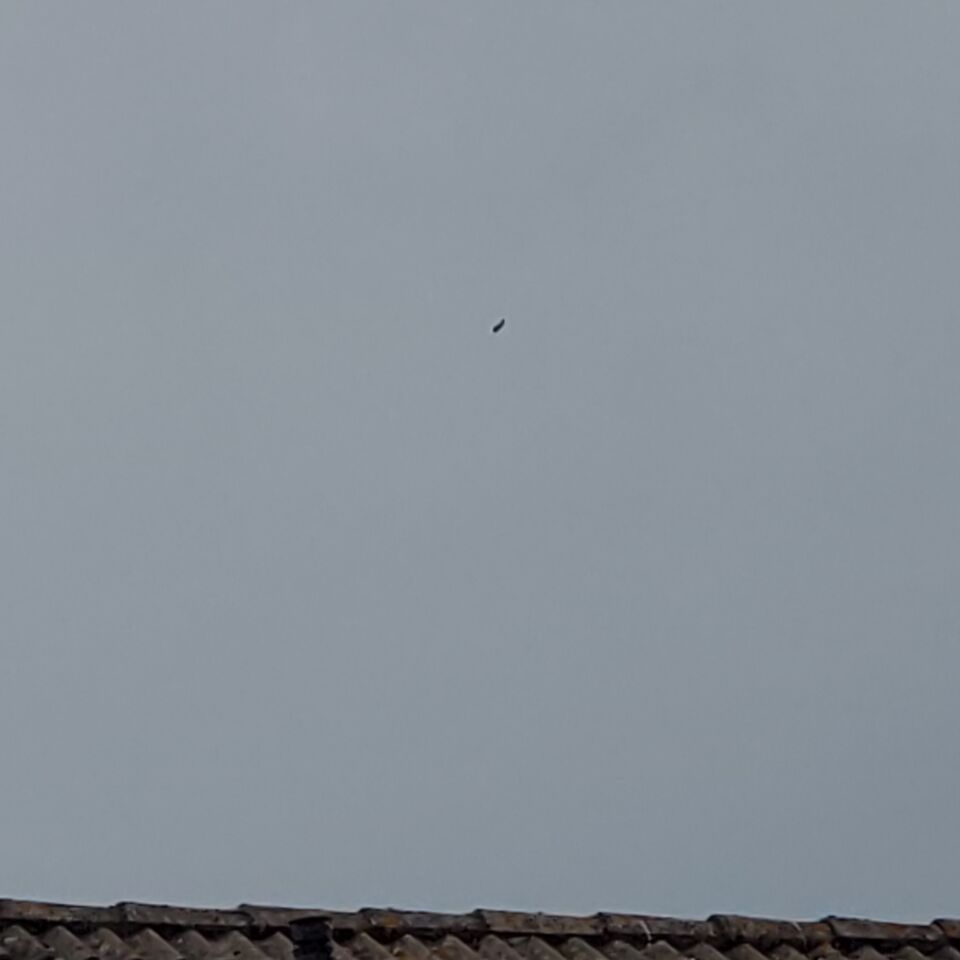 Als een enorme, half leeggelopen zwarte ballon, boonvormig foto