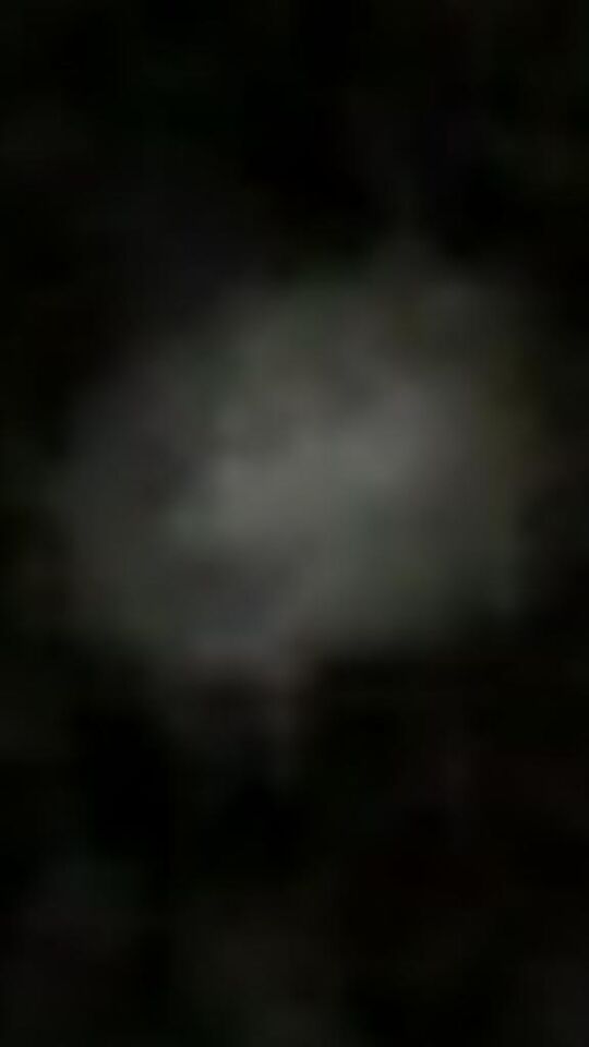 Licht bewegende UFO die constant van vorm veranderd foto