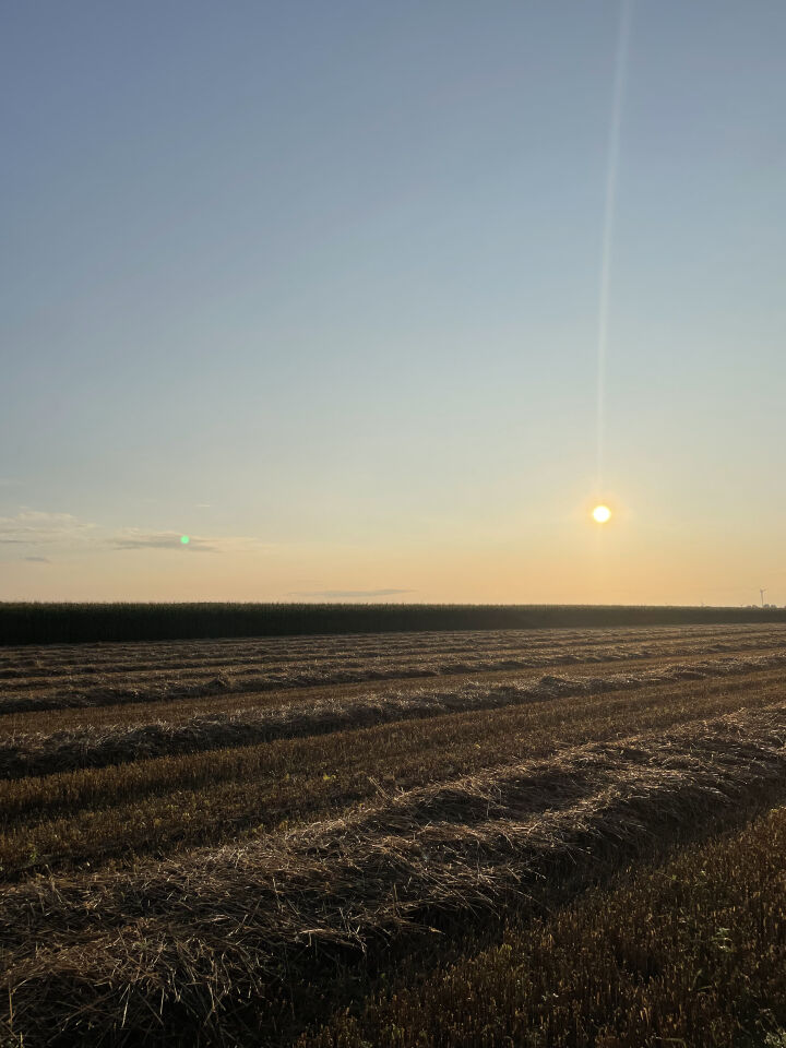 Een UFO te zien op de foto foto