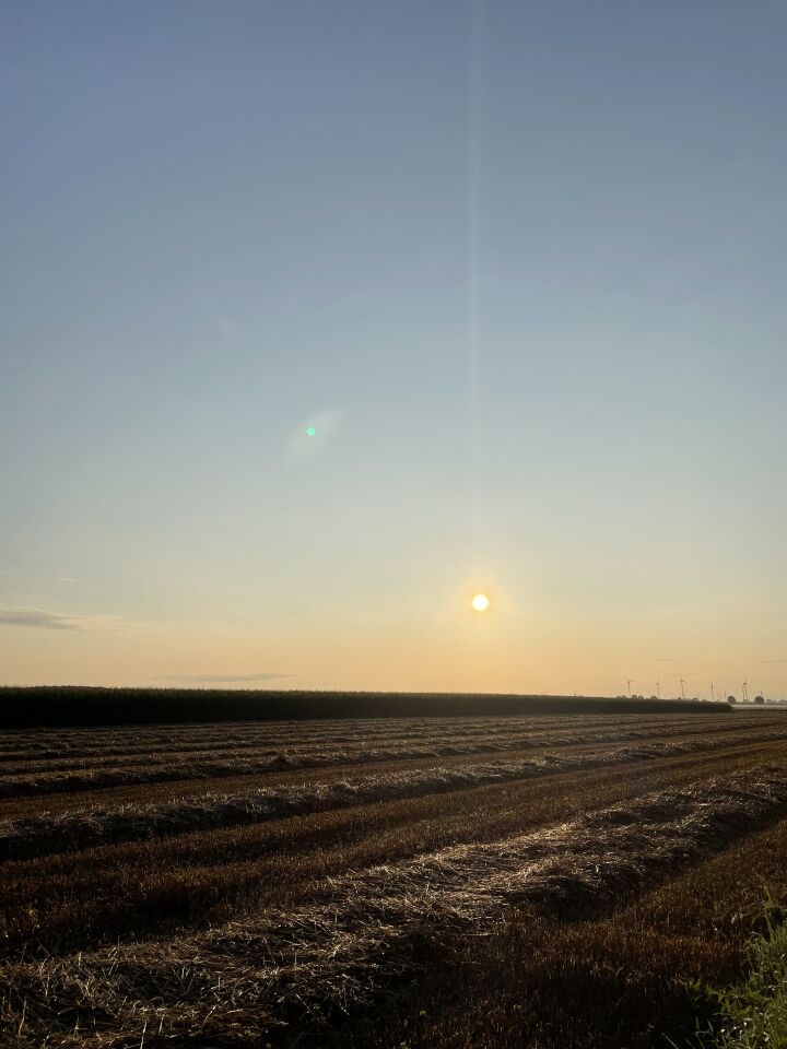 Een UFO te zien op de foto foto