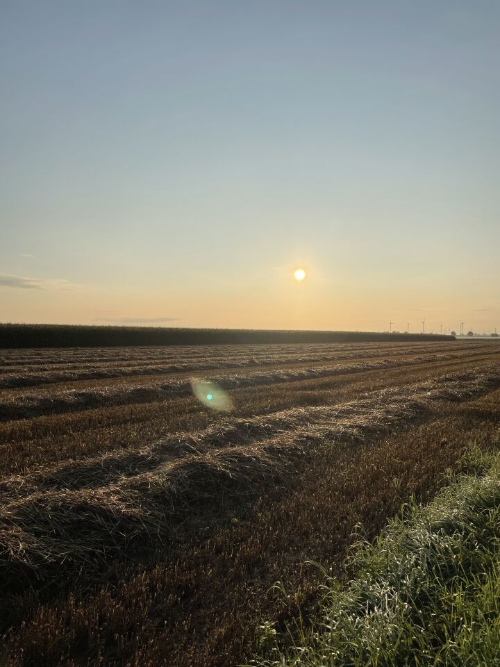 Een UFO te zien op de foto foto