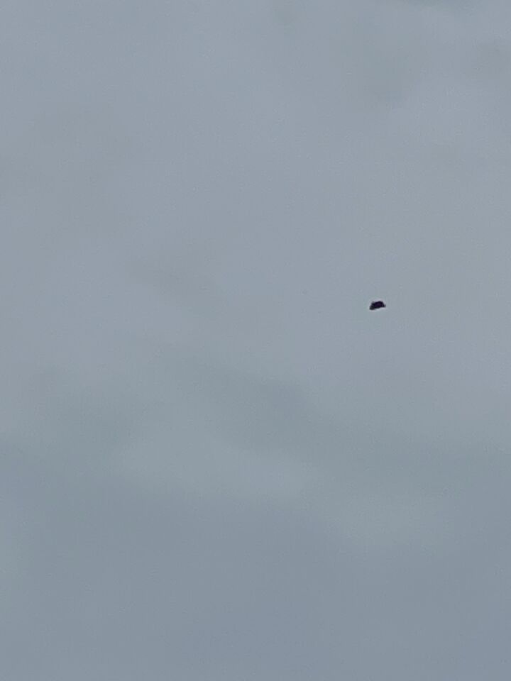 Vliegend object met een laag brommend geluid foto