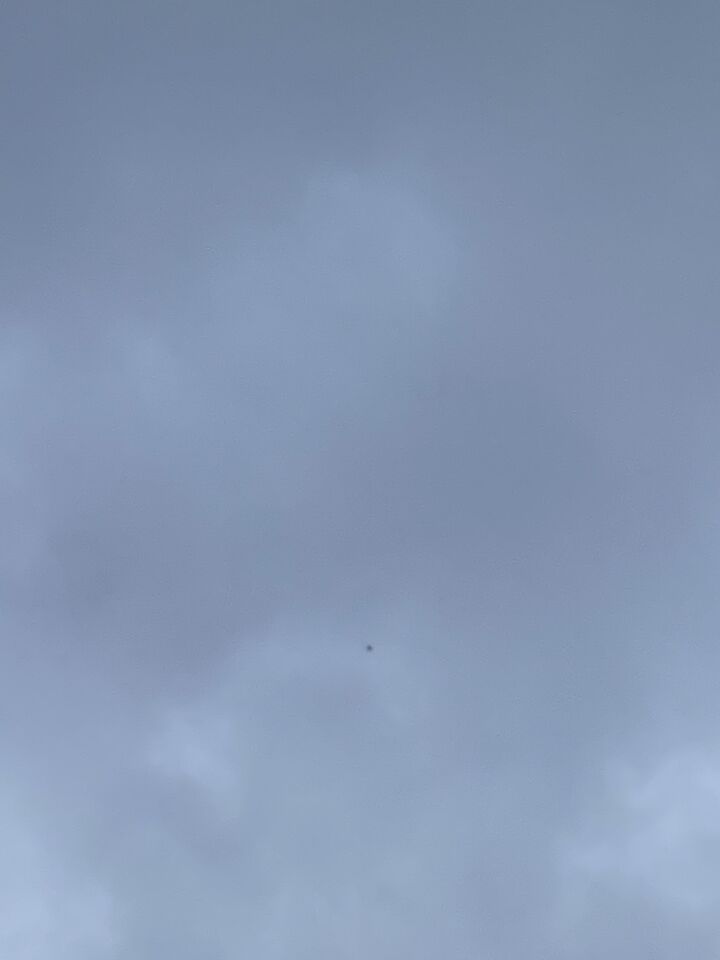 Donkere ronde vorm in het zwart die snel verdween toen ik begon te filmen. foto