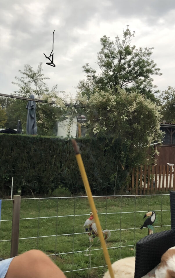 Recht hoekig voorwerp schiet achter bomen voorbij foto