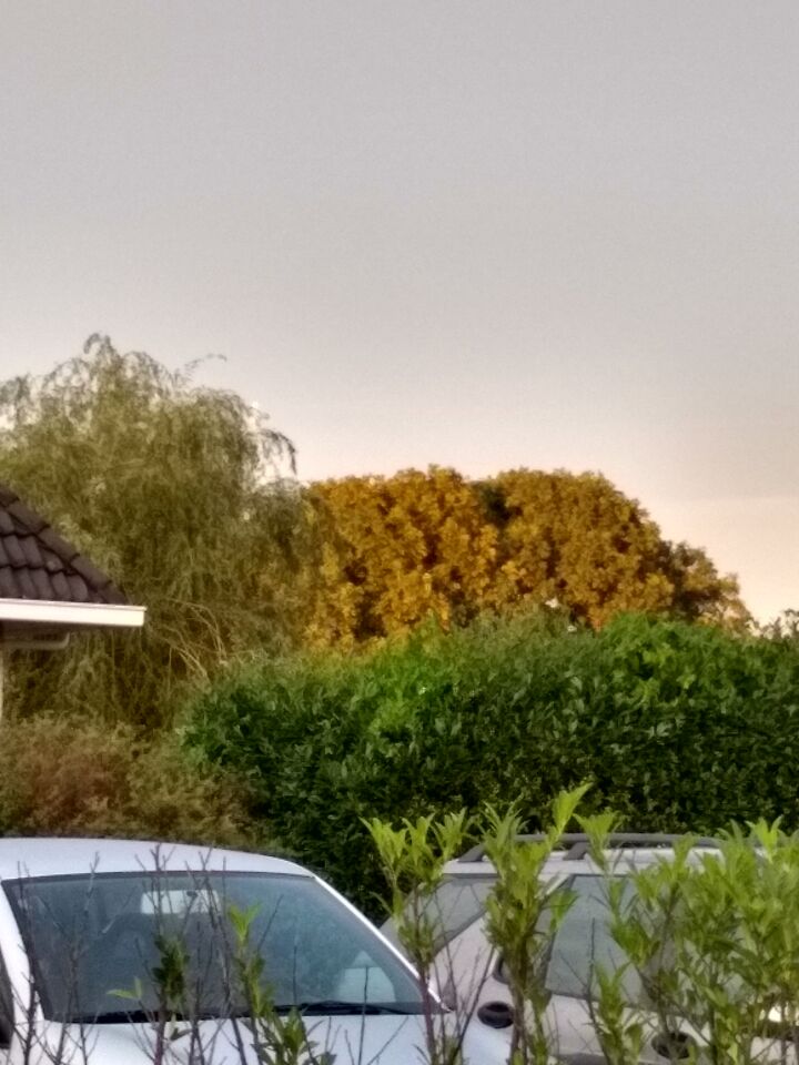 Twee gele bollen met verbindingsstuk. foto