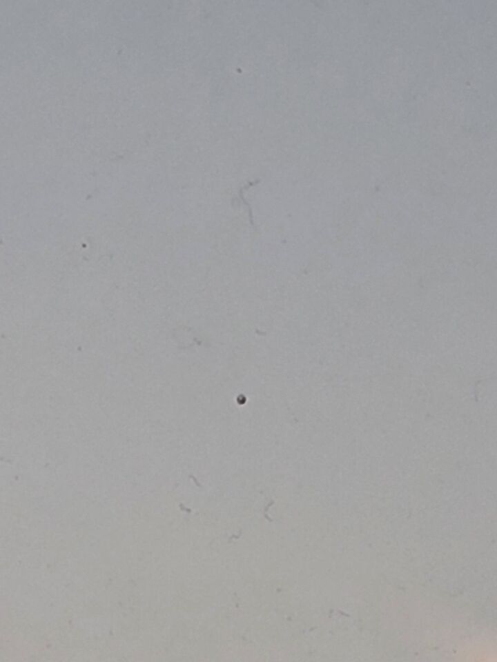 Zwart object dat vloog door de lucht foto