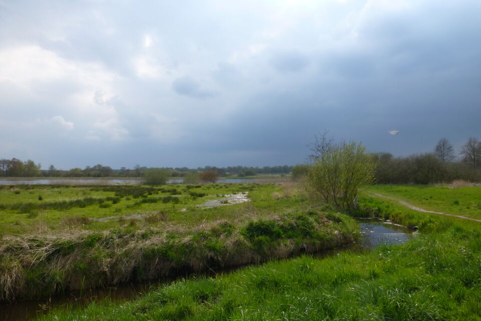 Een voorwerp onder (of komend uit) een donkere wolk. foto