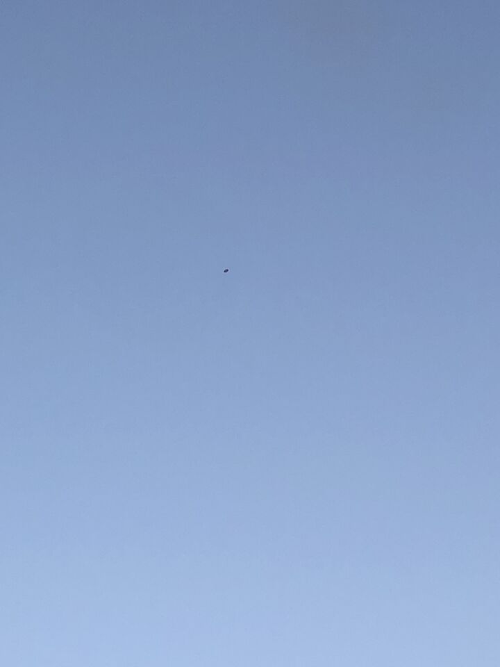 Schijf foto