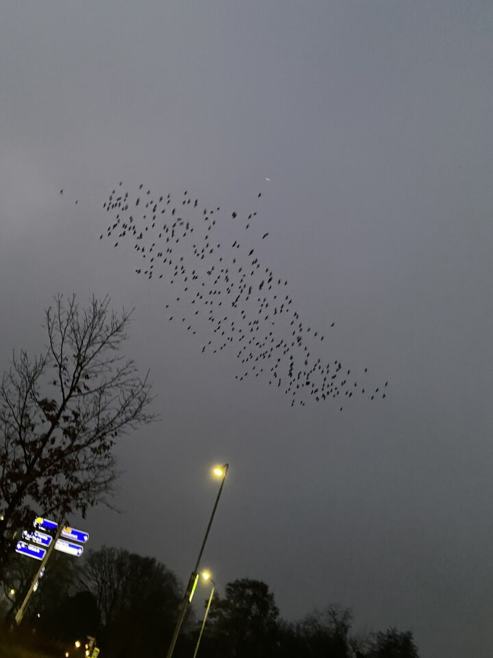 Raar ding vanaf 15 seconden. Heb er ook foto’s van. Zag het pas bij terugkijken. foto