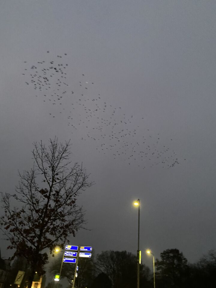 Raar ding vanaf 15 seconden. Heb er ook foto’s van. Zag het pas bij terugkijken. foto