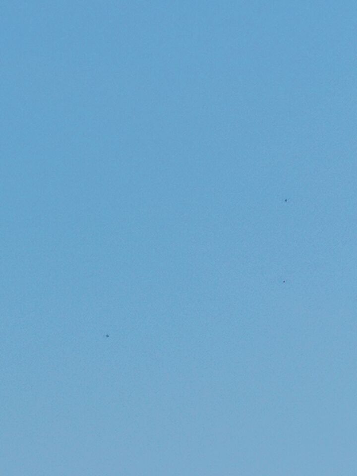 Zwarte stipjes in de lucht foto