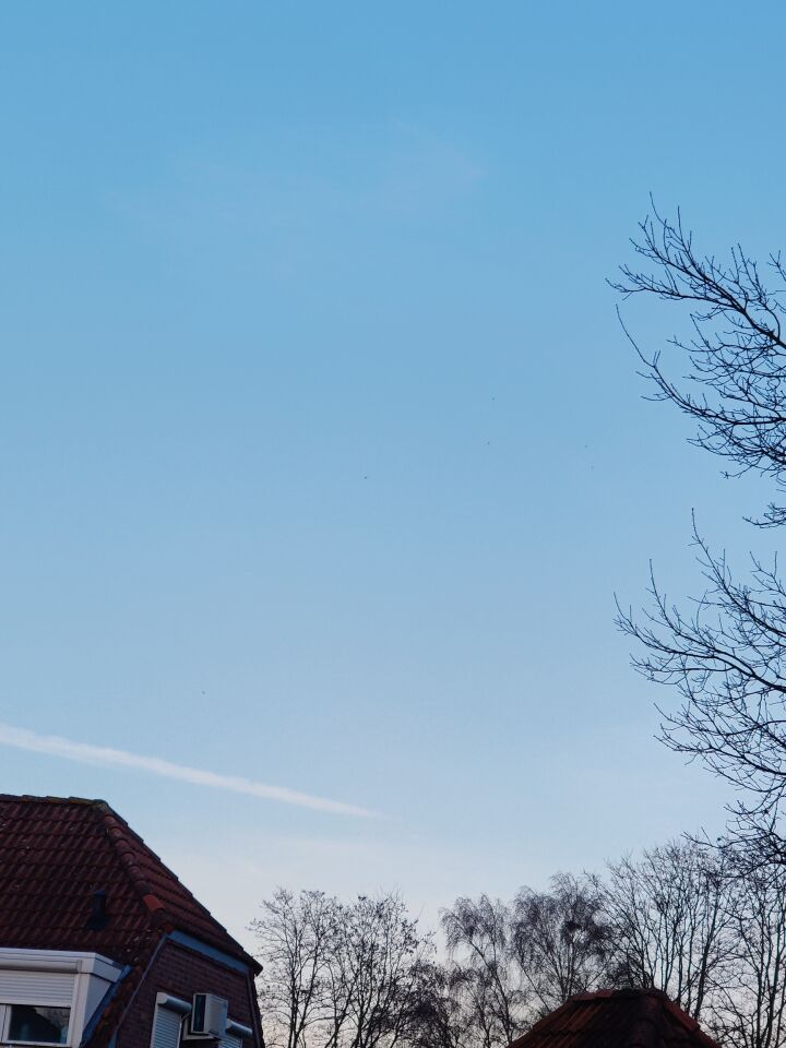 Zwarte stipjes in de lucht foto