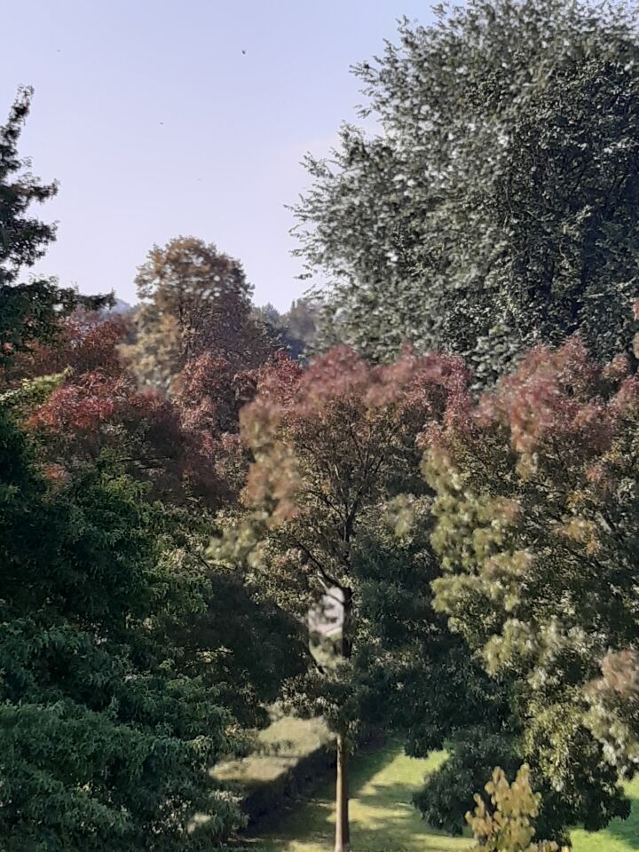 Verschillende UFO's foto
