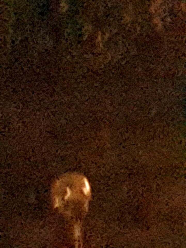 Licht gevende bal die knippert kleuren hangt stil foto