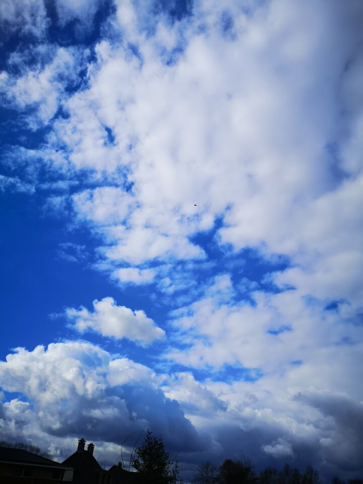 Snel vliegend zwart object boven winterswijk foto