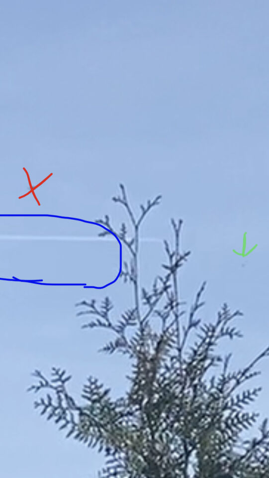 Ik zat in mijn achtertuin te zitten en ineens zag ik een witte UFO (bal) foto