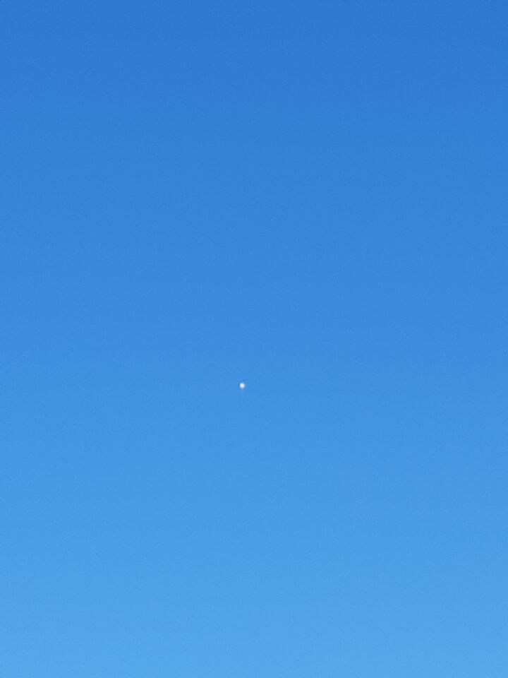 Grote witte ballon boven De Rijp foto