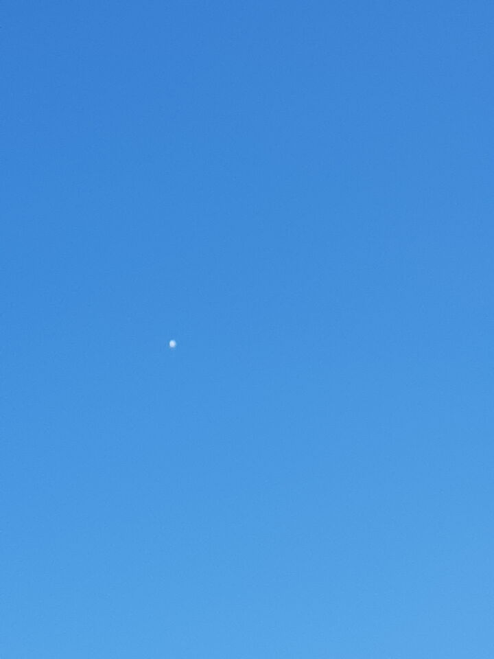 Grote witte ballon boven De Rijp foto