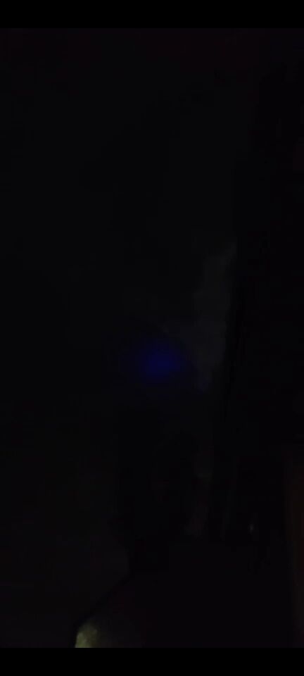 Een blauwe bol die 20 seconden verdween hij kwam weer terug en vloog weg foto