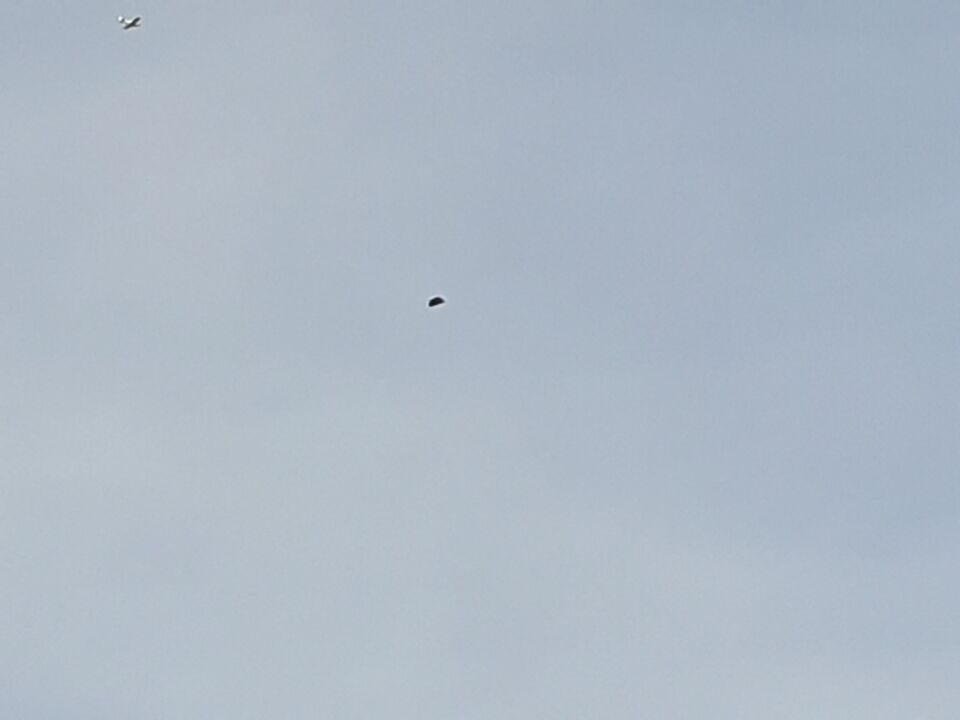 Zwart vliegend driehoekig object foto