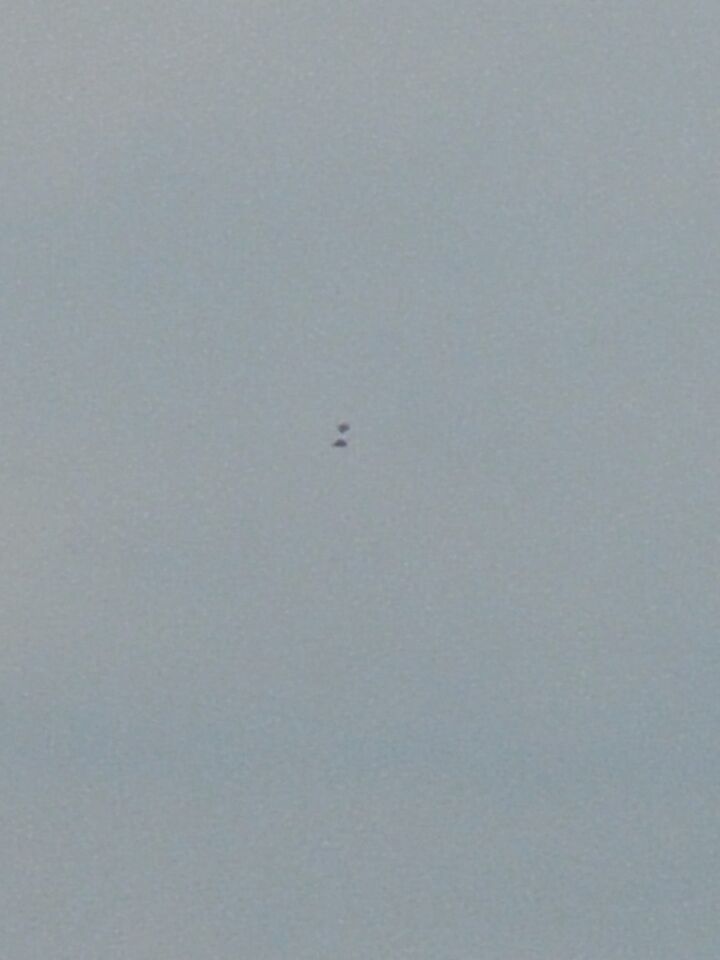 Two black object flying towards east - speed slower than aircraft foto