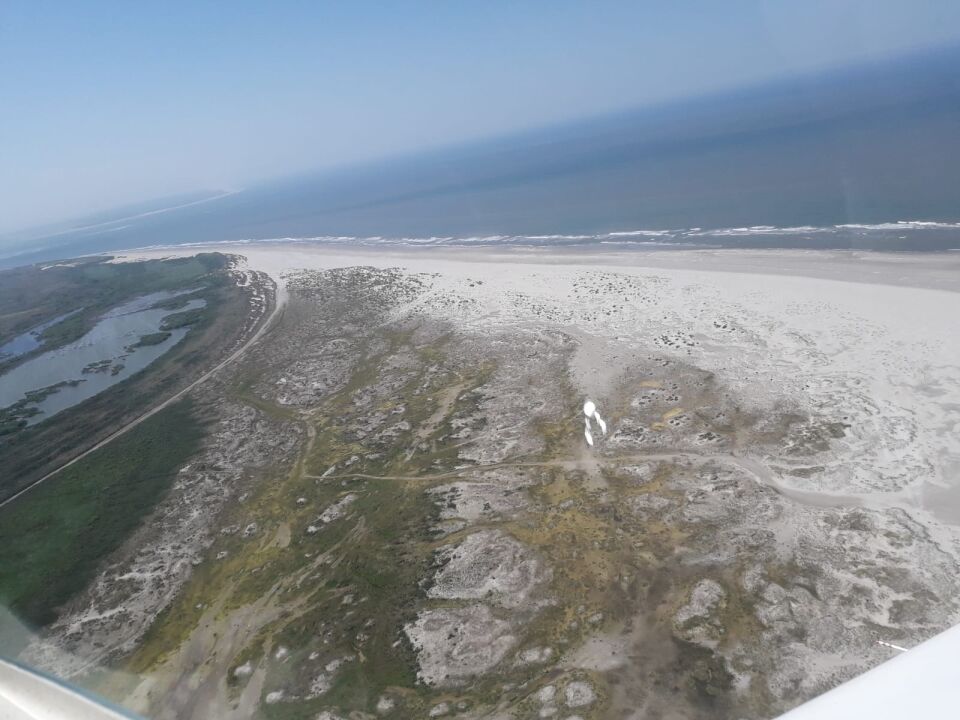 Witte cirkel met twee symetrische staarten foto