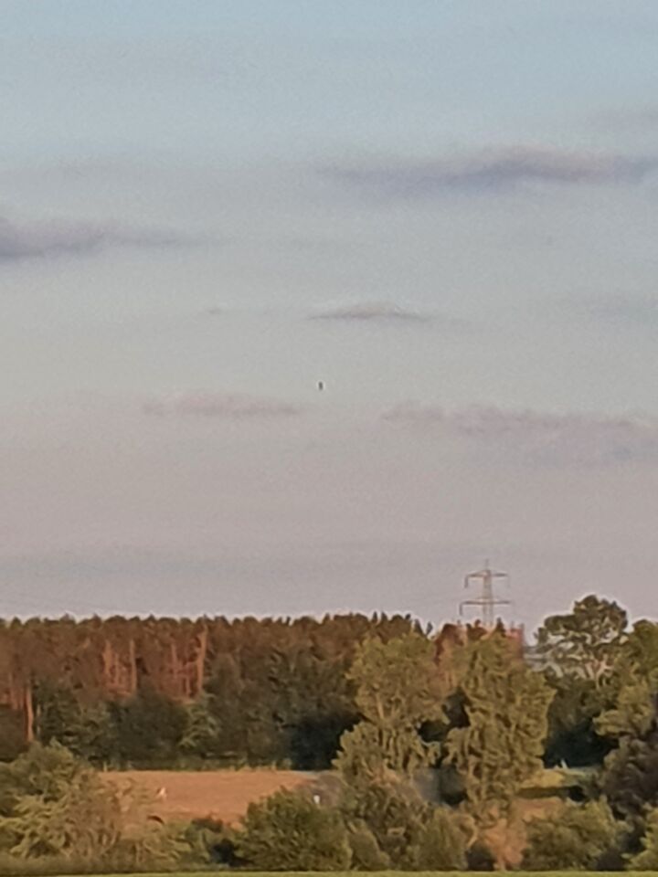 Donker ovaalvormig object dat op exact dezelfde plek blijft foto