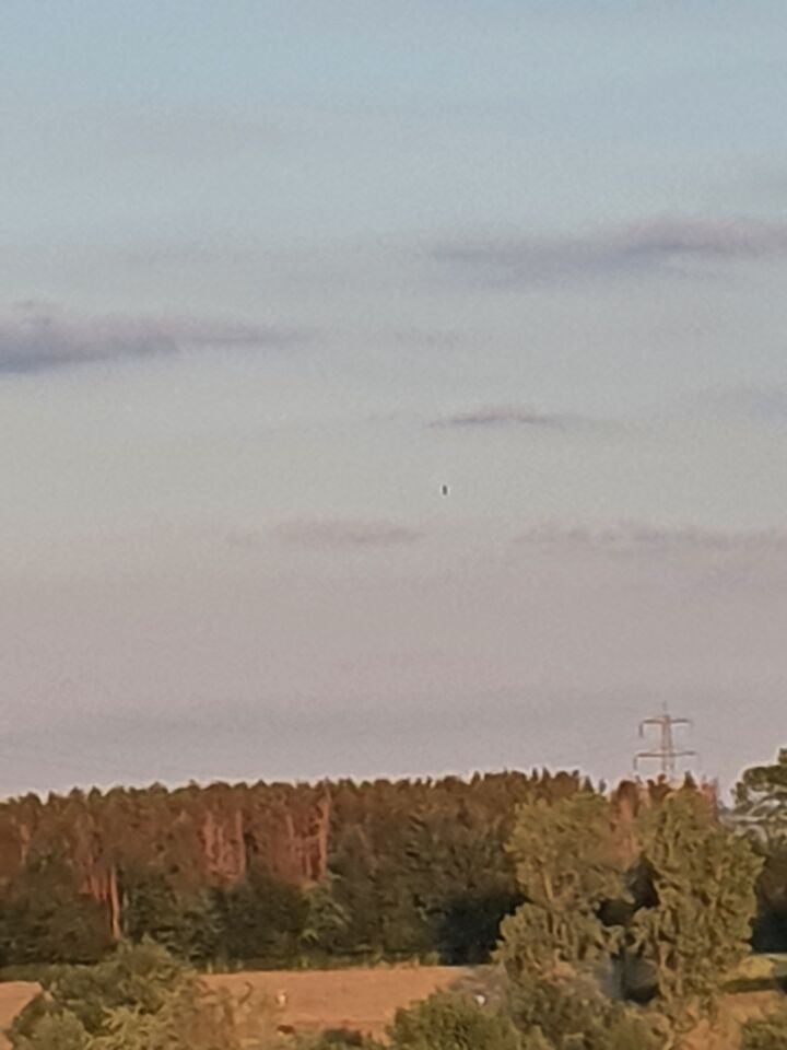 Donker ovaalvormig object dat op exact dezelfde plek blijft foto