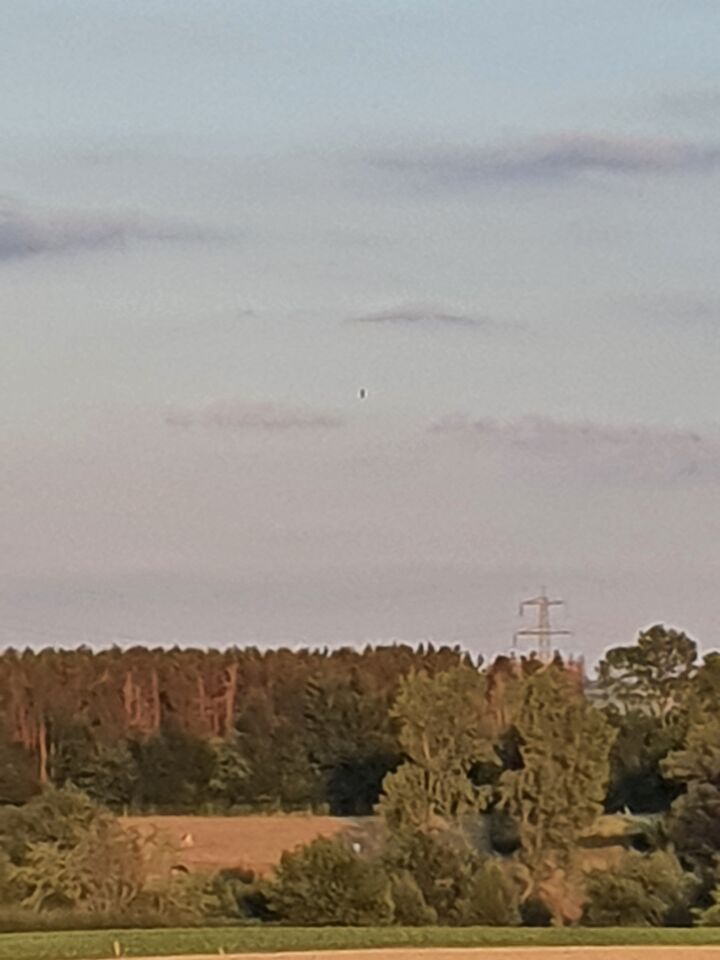 Donker ovaalvormig object dat op exact dezelfde plek blijft foto