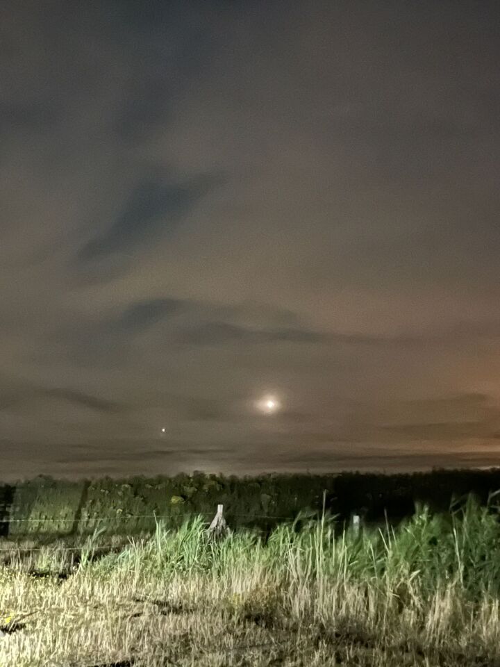 Oranje vuurbal foto