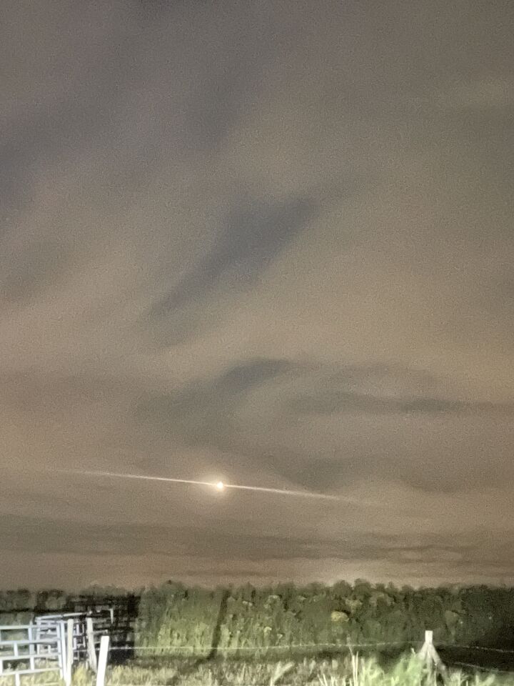 Oranje vuurbal foto